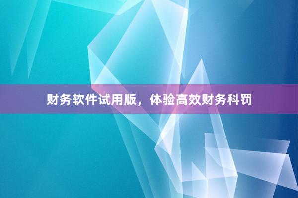 财务软件试用版,体验高效财务科罚